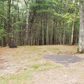 Review photo of Nickerson State Park Campground by Jean C., May 31, 2020