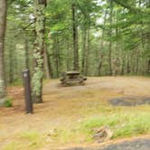 Review photo of Nickerson State Park Campground by Jean C., May 31, 2020