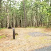 Review photo of Nickerson State Park Campground by Jean C., May 31, 2020