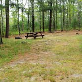 Review photo of Nickerson State Park Campground by Jean C., May 31, 2020