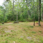 Review photo of Nickerson State Park Campground by Jean C., May 31, 2020