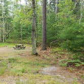 Review photo of Nickerson State Park Campground by Jean C., May 31, 2020