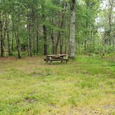 Review photo of Nickerson State Park Campground by Jean C., May 31, 2020