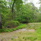 Review photo of Nickerson State Park Campground by Jean C., May 31, 2020