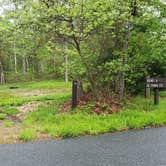 Review photo of Nickerson State Park Campground by Jean C., May 31, 2020