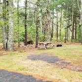 Review photo of Nickerson State Park Campground by Jean C., May 31, 2020