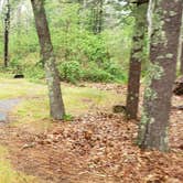 Review photo of Nickerson State Park Campground by Jean C., May 31, 2020