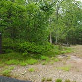 Review photo of Nickerson State Park Campground by Jean C., May 31, 2020