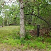 Review photo of Nickerson State Park Campground by Jean C., May 31, 2020