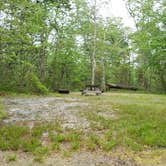 Review photo of Nickerson State Park Campground by Jean C., May 31, 2020