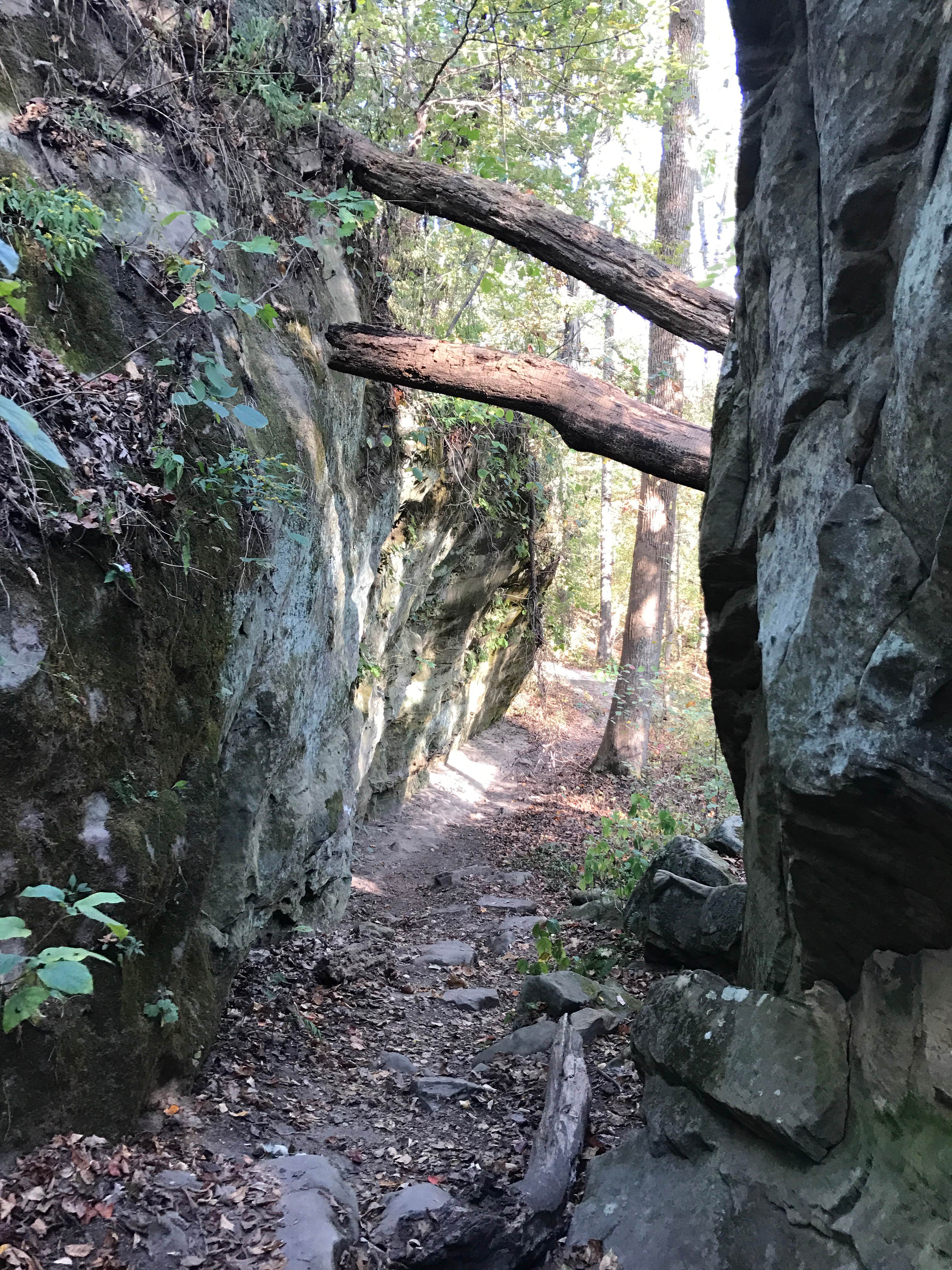 Camper submitted image from Giant City State Park Campground - 5