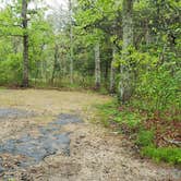 Review photo of Nickerson State Park Campground by Jean C., May 31, 2020