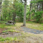 Review photo of Nickerson State Park Campground by Jean C., May 31, 2020