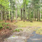 Review photo of Nickerson State Park Campground by Jean C., May 31, 2020