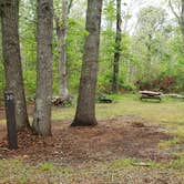 Review photo of Nickerson State Park Campground by Jean C., May 31, 2020