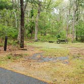 Review photo of Nickerson State Park Campground by Jean C., May 31, 2020