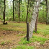 Review photo of Nickerson State Park Campground by Jean C., May 31, 2020