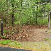 Review photo of Nickerson State Park Campground by Jean C., May 31, 2020