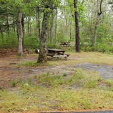 Review photo of Nickerson State Park Campground by Jean C., May 31, 2020