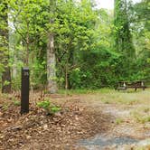 Review photo of Nickerson State Park Campground by Jean C., May 31, 2020