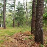 Review photo of Nickerson State Park Campground by Jean C., May 31, 2020