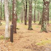 Review photo of Nickerson State Park Campground by Jean C., May 31, 2020