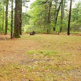 Review photo of Nickerson State Park Campground by Jean C., May 31, 2020