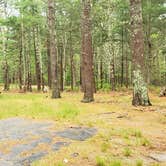 Review photo of Nickerson State Park Campground by Jean C., May 31, 2020