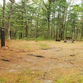 Review photo of Nickerson State Park Campground by Jean C., May 31, 2020