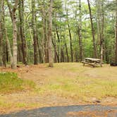 Review photo of Nickerson State Park Campground by Jean C., May 31, 2020