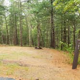 Review photo of Nickerson State Park Campground by Jean C., May 31, 2020