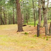 Review photo of Nickerson State Park Campground by Jean C., May 31, 2020