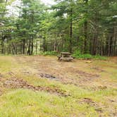 Review photo of Nickerson State Park Campground by Jean C., May 31, 2020