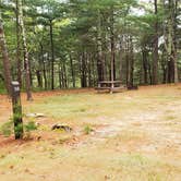 Review photo of Nickerson State Park Campground by Jean C., May 31, 2020