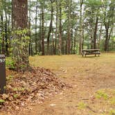 Review photo of Nickerson State Park Campground by Jean C., May 31, 2020