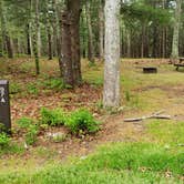 Review photo of Nickerson State Park Campground by Jean C., May 31, 2020