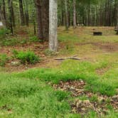 Review photo of Nickerson State Park Campground by Jean C., May 31, 2020