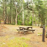 Review photo of Nickerson State Park Campground by Jean C., May 31, 2020