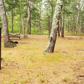 Review photo of Nickerson State Park Campground by Jean C., May 31, 2020