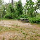 Review photo of Nickerson State Park Campground by Jean C., May 31, 2020