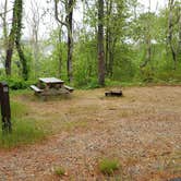 Review photo of Nickerson State Park Campground by Jean C., May 31, 2020