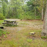 Review photo of Nickerson State Park Campground by Jean C., May 31, 2020