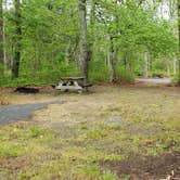 Review photo of Nickerson State Park Campground by Jean C., May 31, 2020