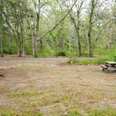 Review photo of Nickerson State Park Campground by Jean C., May 31, 2020