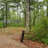 Review photo of Nickerson State Park Campground by Jean C., May 31, 2020