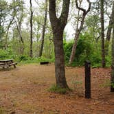 Review photo of Nickerson State Park Campground by Jean C., May 31, 2020