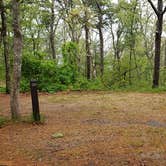 Review photo of Nickerson State Park Campground by Jean C., May 31, 2020