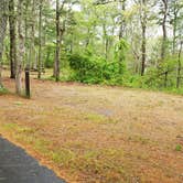 Review photo of Nickerson State Park Campground by Jean C., May 31, 2020