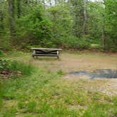 Review photo of Nickerson State Park Campground by Jean C., May 31, 2020