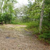 Review photo of Nickerson State Park Campground by Jean C., May 31, 2020